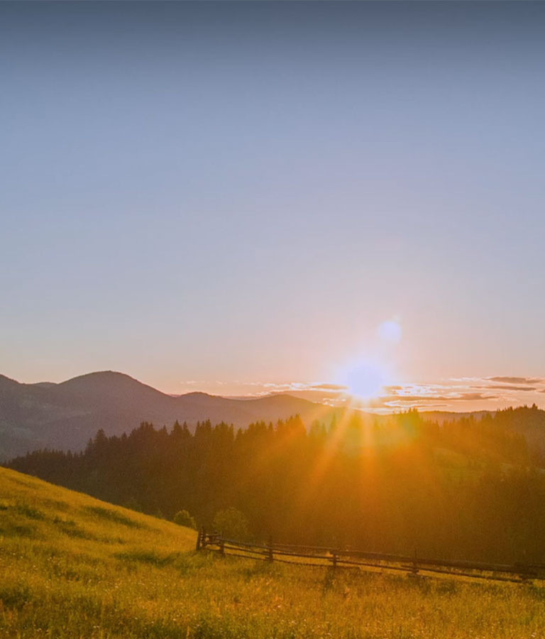 Solax mobile banner presenting all-in-one energy solutions for homes and businesses